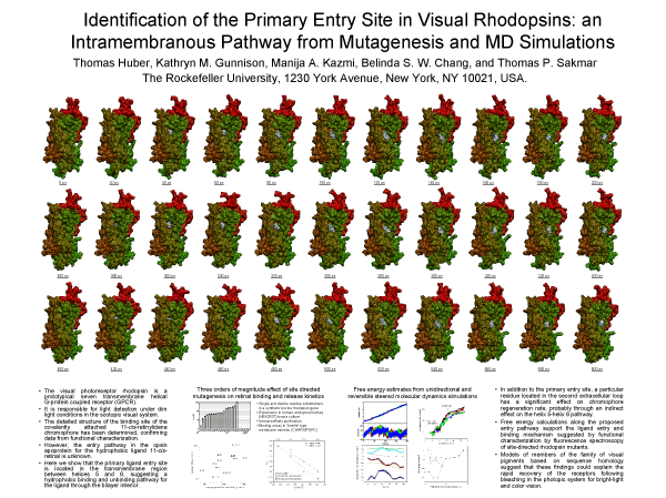 Poster 2005 v4a