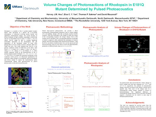 Poster Hou 2009