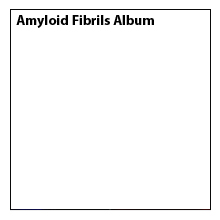 Alyloid Fibrils