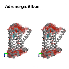 Adrenergic